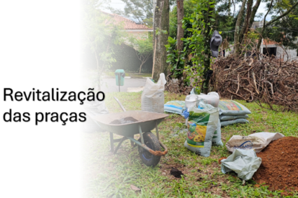Revitalização das Praças: Um Reencontro com a Vida Verde